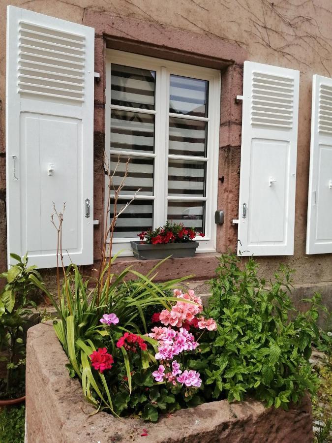 Gite Le Patio Kaysersberg-Vignoble Eksteriør bilde